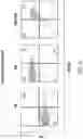 Fig. 43 - Chimeric antigen receptor-modified NK-92 cells