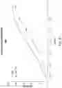 Fig. 44 - Chimeric antigen receptor-modified NK-92 cells