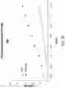 Fig. 45 - Chimeric antigen receptor-modified NK-92 cells