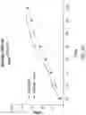 Fig. 46 - Chimeric antigen receptor-modified NK-92 cells