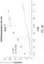 Fig. 49 - Chimeric antigen receptor-modified NK-92 cells