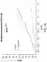 Fig. 51 - Chimeric antigen receptor-modified NK-92 cells