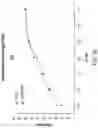 Fig. 62 - Chimeric antigen receptor-modified NK-92 cells