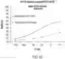 Fig. 65 - Chimeric antigen receptor-modified NK-92 cells