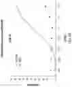 Fig. 67 - Chimeric antigen receptor-modified NK-92 cells