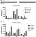 Fig. 05 - Compositions and Methods for Inhibiting T Cell Exhaustion