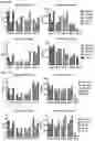 Fig. 06 - Compositions and Methods for Inhibiting T Cell Exhaustion