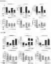 Fig. 20 - Compositions and Methods for Inhibiting T Cell Exhaustion
