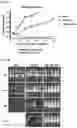 Fig. 22 - Compositions and Methods for Inhibiting T Cell Exhaustion