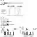 Fig. 30 - Compositions and Methods for Inhibiting T Cell Exhaustion