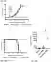 Fig. 37 - Compositions and Methods for Inhibiting T Cell Exhaustion