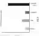 Fig. 05 - COMPOSITIONS AND METHODS FOR IMMUNE CELL MODULATION IN ADOPTIVE IMMUNOTHERAPIES