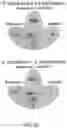 Fig. 10 - COMPOSITIONS AND METHODS FOR IMMUNE CELL MODULATION IN ADOPTIVE IMMUNOTHERAPIES