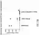 Fig. 17 - COMPOSITIONS AND METHODS FOR IMMUNE CELL MODULATION IN ADOPTIVE IMMUNOTHERAPIES