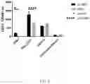 Fig. 08 - METHODS AND MATERIALS FOR USING ENGINEERED MESENCHYMAL STEM CELLS TO TREAT INFLAMMATORY CONDITIONS AND DEGENERATIVE DISEASES