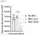 Fig. 31 - METHODS AND MATERIALS FOR USING ENGINEERED MESENCHYMAL STEM CELLS TO TREAT INFLAMMATORY CONDITIONS AND DEGENERATIVE DISEASES