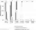 Fig. 01 - METHODS FOR IMPROVING MYELOID BRIDGING IN CORD BLOOD TRANSPLANT RECIPIENTS