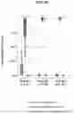Fig. 06 - METHODS FOR IMPROVING MYELOID BRIDGING IN CORD BLOOD TRANSPLANT RECIPIENTS