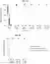 Fig. 07 - METHODS FOR IMPROVING MYELOID BRIDGING IN CORD BLOOD TRANSPLANT RECIPIENTS