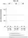 Fig. 08 - METHODS FOR IMPROVING MYELOID BRIDGING IN CORD BLOOD TRANSPLANT RECIPIENTS