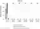 Fig. 09 - METHODS FOR IMPROVING MYELOID BRIDGING IN CORD BLOOD TRANSPLANT RECIPIENTS