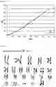 Fig. 08 - MESENCHYMAL STEM CELL EXPRESSING TRAIL AND CD, AND USE THEREOF