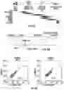 Fig. 14 - ISOLATION OF FUSION-COMPETENT MYOBLASTS AND THERAPEUTIC APPLICATIONS THEREOF RELATED TO MUSCULAR DYSTROPHY