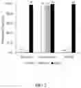 Fig. 03 - PERICYTE CELL EXOSOMES