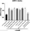 Fig. 01 - COMPOSITION FOR PREVENTING OR TREATING HYPERTENSION