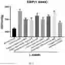 Fig. 03 - COMPOSITION FOR PREVENTING OR TREATING HYPERTENSION