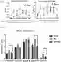 Fig. 07 - COMPOSITION COMPRISING SWEET POTATO STEM OR LEAF EXTRACT AS ACTIVE INGREDIENT FOR PREVENTION OR TREATMENT OF EAR DISEASE
