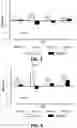 Fig. 04 - Composition For Improving Mental State, Production Method For Composition For Improving Mental State, And Use Of Fruit Of Eggplant For Improving Mental State
