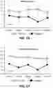 Fig. 12 - Composition For Improving Mental State, Production Method For Composition For Improving Mental State, And Use Of Fruit Of Eggplant For Improving Mental State