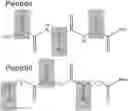 Fig. 01 - ANTIVIRAL PEPTOID COMPOSITIONS