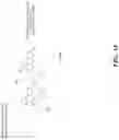 Fig. 19 - ANTIVIRAL PEPTOID COMPOSITIONS