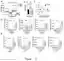 Fig. 03 - APPLICATION OF NON-IGF1R-BINDING SUBSTANCE IN PREVENTION AND/OR TREATMENT OF INFLAMMATORY DISEASES
