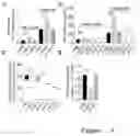 Fig. 04 - APPLICATION OF NON-IGF1R-BINDING SUBSTANCE IN PREVENTION AND/OR TREATMENT OF INFLAMMATORY DISEASES