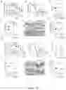 Fig. 09 - APPLICATION OF NON-IGF1R-BINDING SUBSTANCE IN PREVENTION AND/OR TREATMENT OF INFLAMMATORY DISEASES