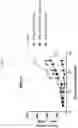 Fig. 09 - COMBINATION THERAPIES COMPRISING A HYPOMETHYLATION AGENT FOR TREATING CANCER