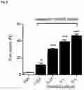 Fig. 10 - AGENT FOR USE IN TREATMENT OR PREVENTION OF OPHTHALMIC DISORDERS