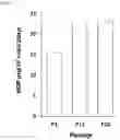 Fig. 05 - MESENCHYMAL STEM CELL EXPRESSING HEPATOCYTE GROWTH FACTOR, AND USE THEREOF