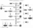 Fig. 01 - A HIGH-PURITY ADRENOCORTICOTROPIC HORMONE ANALOGUE AND A LARGE-SCALE PREPARATION METHOD THEREOF