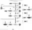 Fig. 02 - A HIGH-PURITY ADRENOCORTICOTROPIC HORMONE ANALOGUE AND A LARGE-SCALE PREPARATION METHOD THEREOF