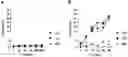 Fig. 01 - METHODS OF TREATMENT RELATED TO COMPLEXES OF VON WILLEBRAND FACTOR AND COMPLEMENT C1Q