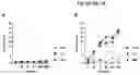 Fig. 02 - METHODS OF TREATMENT RELATED TO COMPLEXES OF VON WILLEBRAND FACTOR AND COMPLEMENT C1Q