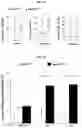 Fig. 04 - Pharmaceutical composition for diagnosing, preventing or treating liver cancer using SSU72 protein or a polynucleotide encoding the same