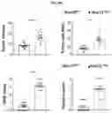 Fig. 06 - Pharmaceutical composition for diagnosing, preventing or treating liver cancer using SSU72 protein or a polynucleotide encoding the same