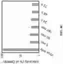 Fig. 06 - Antimicrobial hevamine A-related compositions and methods