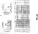 Fig. 22 - Antimicrobial hevamine A-related compositions and methods
