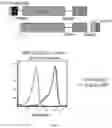 Fig. 04 - METHODS AND COMPOSITIONS FOR SUSTAINED IMMUNOTHERAPY